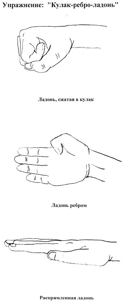 как развить левое полушарие, как развить правое полушарие